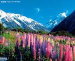 http://wesc.co.nz/wp-content/uploads/2011/12/J.jpg